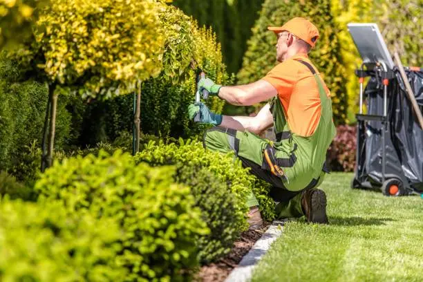 Landscaper in Yonkers, NY